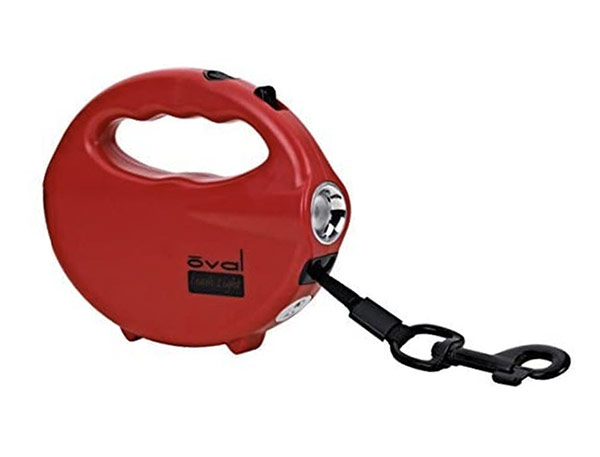 dog leash and flashlight red color by daylight24