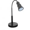 desk lamp with removable flashlight